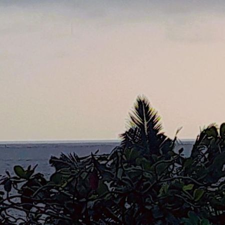 Mirissa Village ミリッサ エクステリア 写真